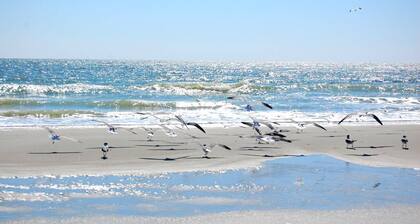 Large Oceanfront Pet Friendly Home perfect for Family Getaways at the Beachcombe