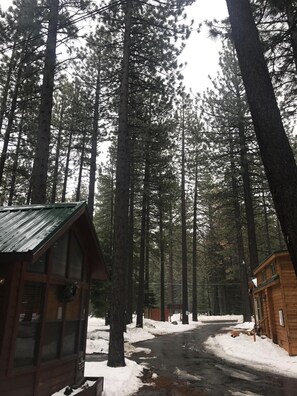 Overnattingsstedets uteområder