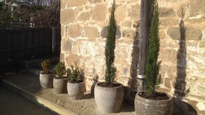 A row of potted evergreen plants against a stone wall.