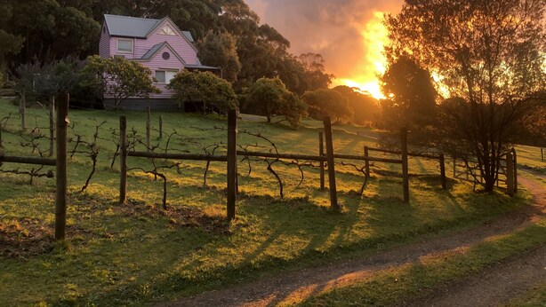 A pink house with a fenced yard and a path leading to it. - Peaceful 40-acre Gembrook Farmstay & Sanctuary - Help feed rescue animals! (Gembrook)
