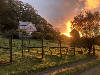 Peaceful 40-acre Gembrook Farmstay & Sanctuary - Help feed rescue animals!