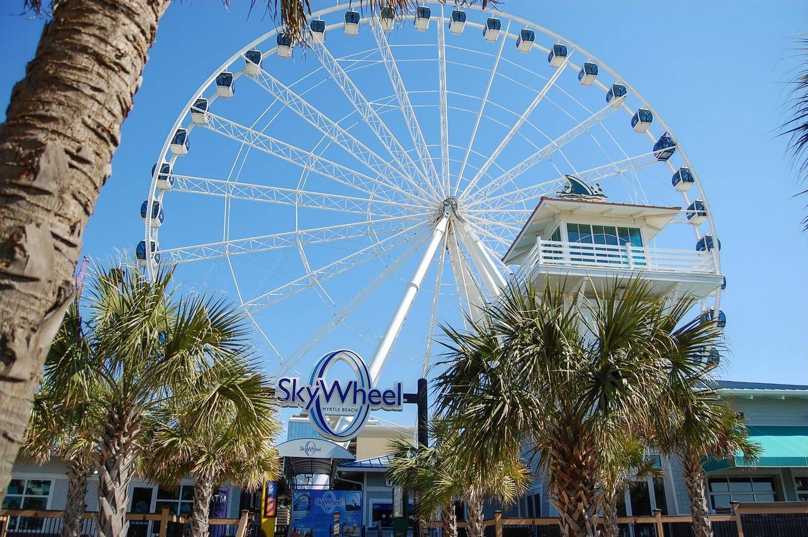 The iconic SkyWheel stands tall amid palm trees, offering spectacular views and entertainment just steps from your vacation destination.