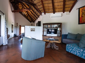 Smart TV, chimenea, reproductor de DVD y libros