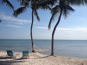 On the beach, sun-loungers, beach towels - Next availability from May 18th, 2024  - The Last Resort, Islamorada - MM76.7 (Islamorada)