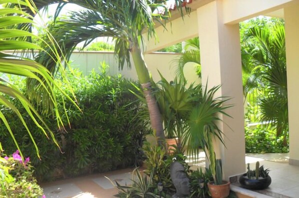 Property grounds - HOME AWAY FROM HOME CENTRAL UPSCALE CANCUN (Cancun)