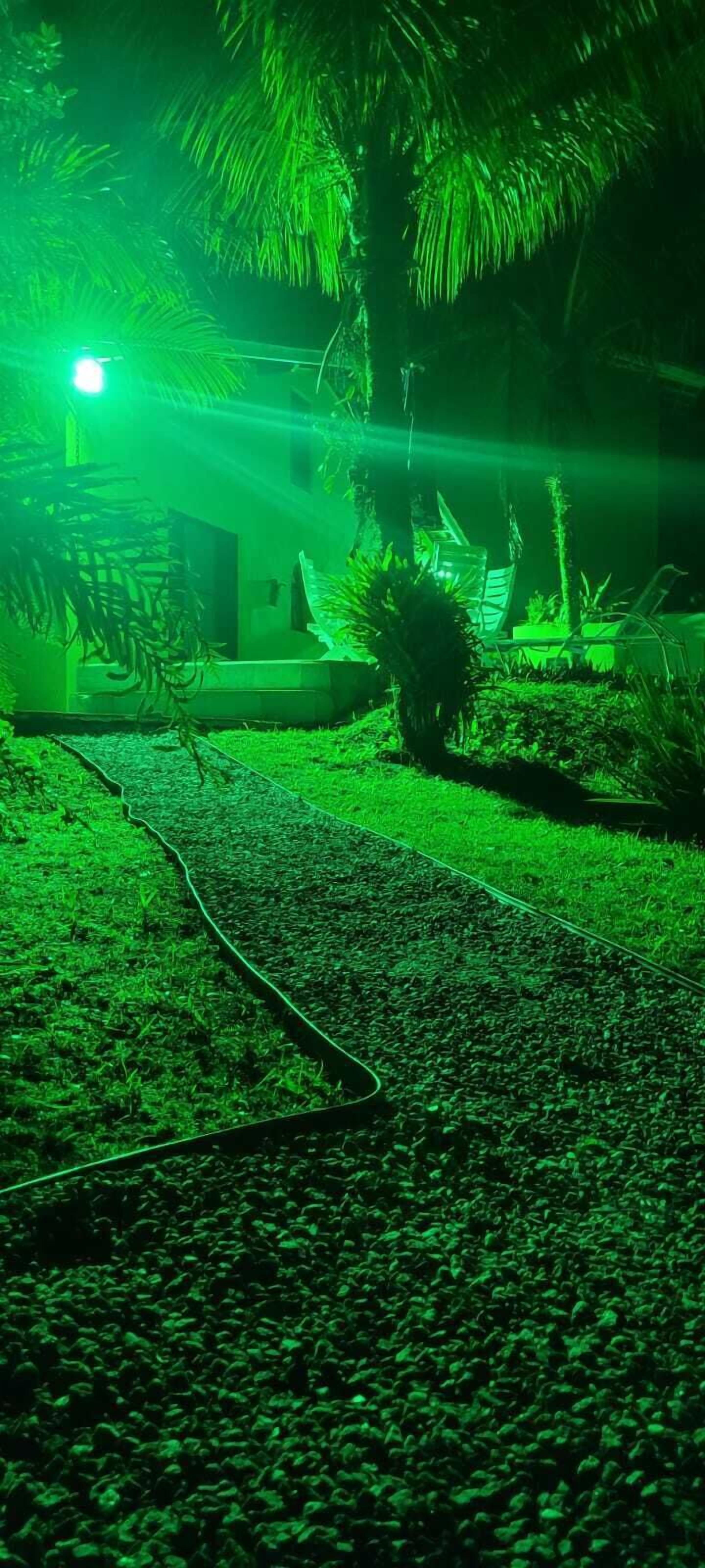 A pathway leading to a building with a green-lit exterior.