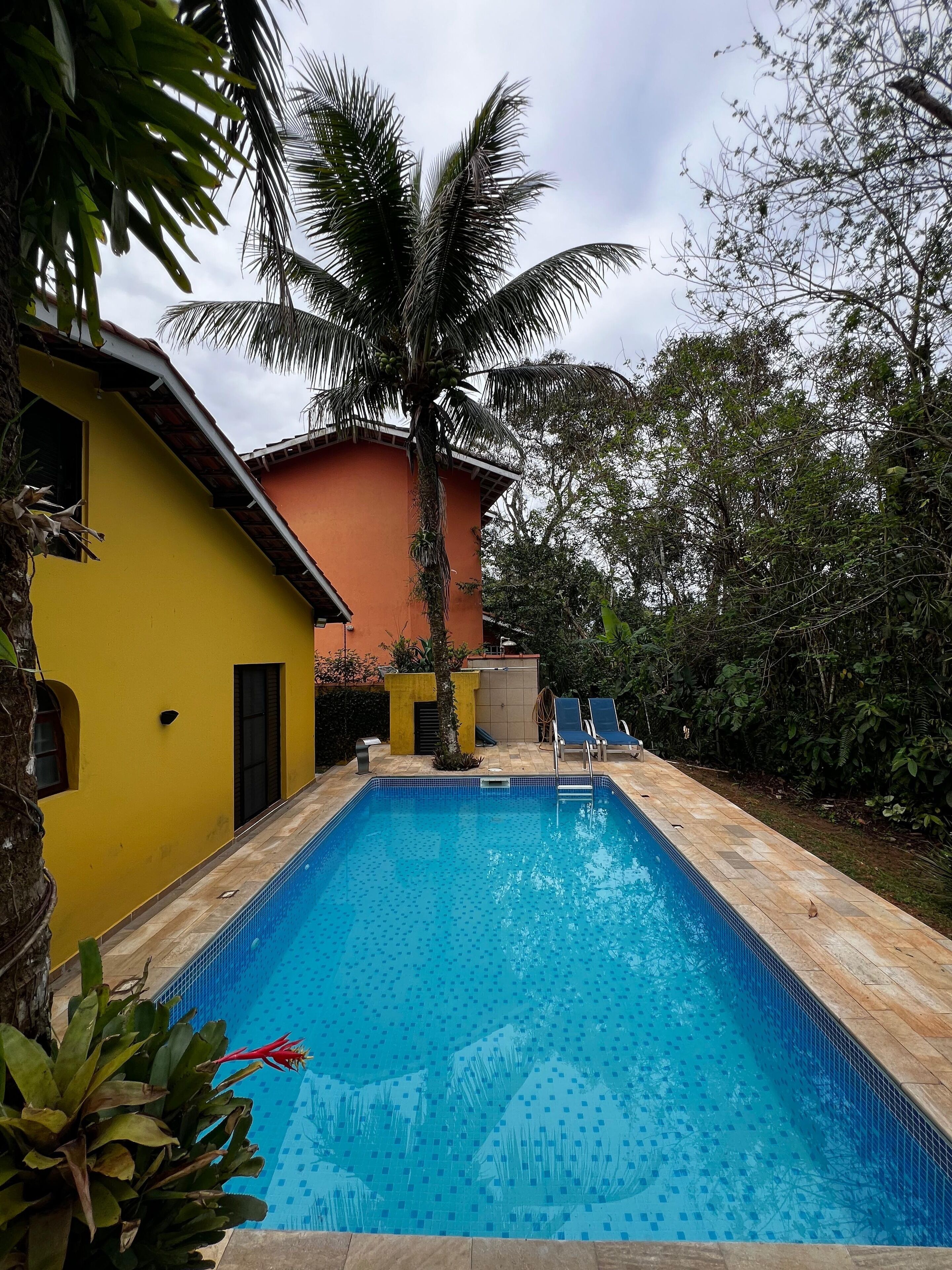 A rectangular swimming pool with a tiled edge, surrounded by a yellow building with a red roof, a palm tree, and a small garden area with a bench.