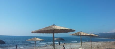 On the beach, sun-loungers