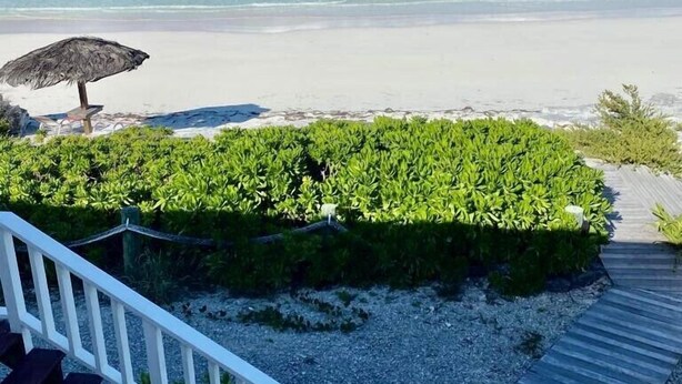 Vista a la playa con una terraza de madera, un toldo de paja y abundante vegetación.
