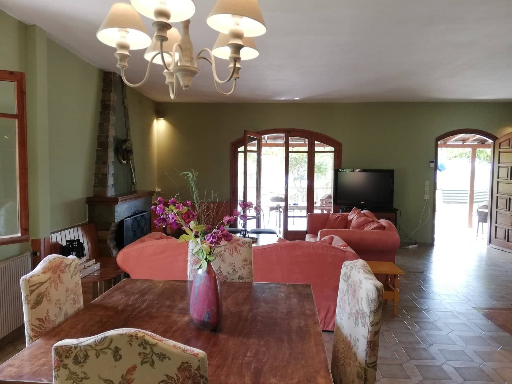 电视、壁炉、DVD 播放器、乒乓球