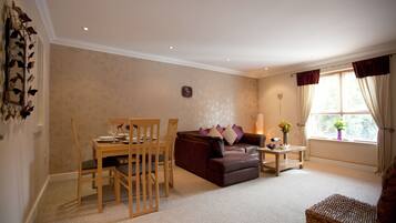 TV de tela plana, DVD player