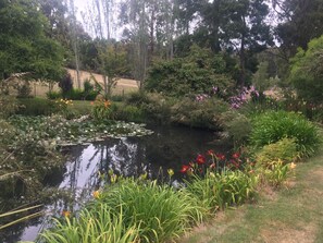 Àrea exterior de l'allotjament