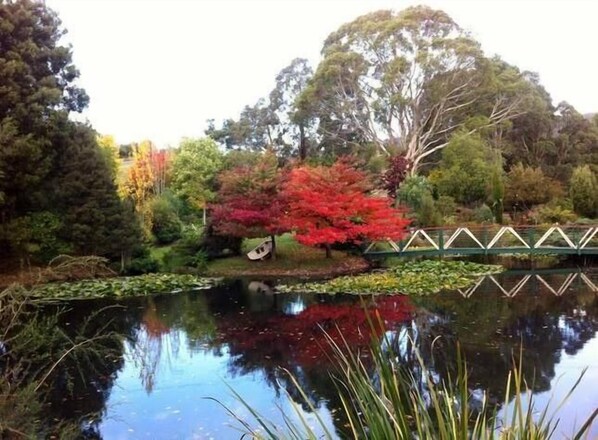 Property grounds - ALTONA GARDEN RETREAT (spreyton)
