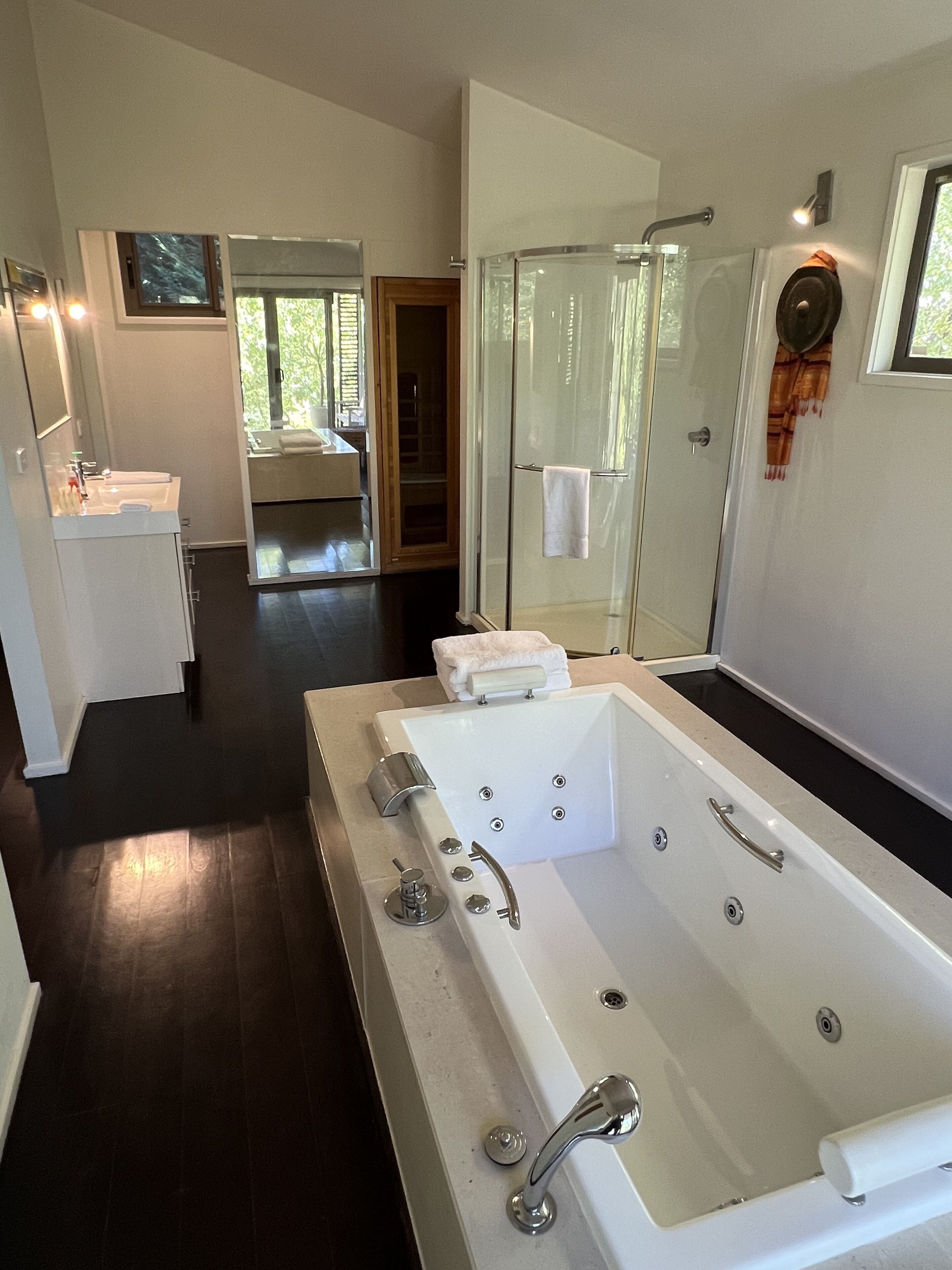 Combined shower/bathtub, jetted bath, hair dryer, towels