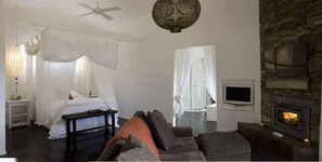 Smart TV, fireplace, DVD player, video library