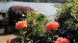 A garden with potted plants and flowers, a lake, and a dock in the background.