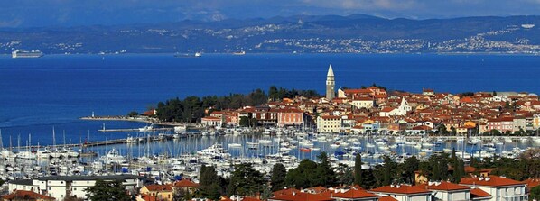 Port esportiu