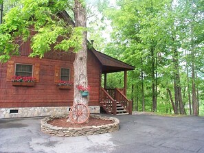 Beautiful Oak Tree Landscaped into Driveway.