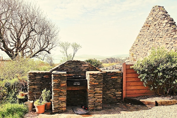 Charcoal BBQ & pizza oven