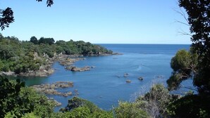 A coastal landscape with a rocky shoreline, dense greenery, and a clear blue sea.
