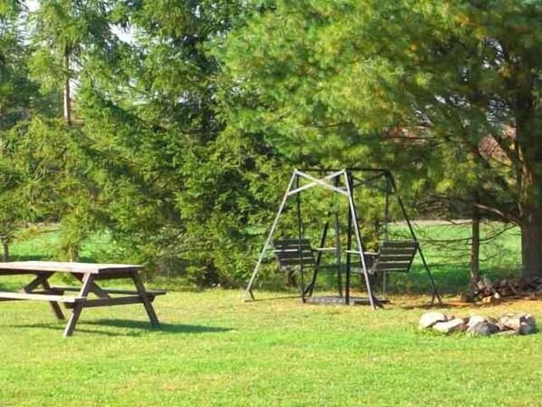 A picnic table and a swing set in a grassy park area. - Cozy, rustic cabin with beautiful views, privacy, and 1 mile from Keuka Lake (PennYan)