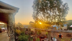 Un espacio al aire libre rústico con mesas y sillas de madera, rodeado de follaje y árboles, bajo un cielo despejado.