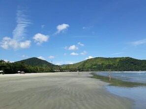 Une plage avec un rivage sablonneux, un ciel bleu clair et des collines verdoyantes en arrière-plan.