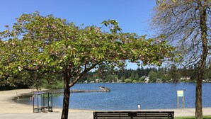 A park with a bench, a lake, and a wooden pier.