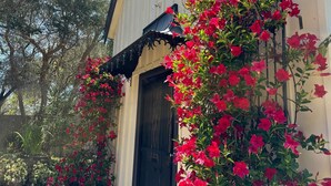 Ein Gebäude mit einer schwarzen Tür und einem Balkon mit roten Blumen.