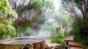 Ein rustikales Holz-Whirlpoolbad, umgeben von üppigem Grün und einer nebligen Atmosphäre.