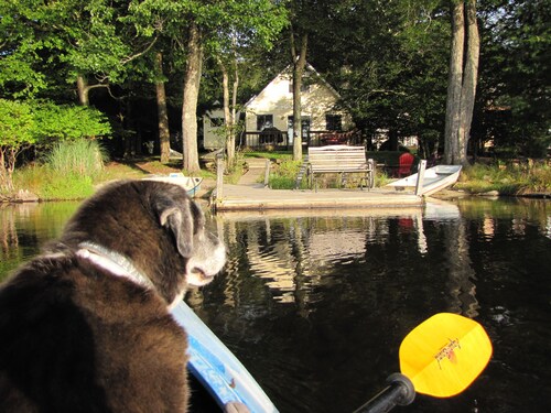 Lakefront Cabin w/ Private Beach, Dock, AC, 4 Boats, Sauna