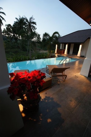 An outdoor swimming pool area with lounge chairs and a potted plant.