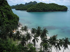 Una playa tropical con palmeras y una vista despejada del océano.