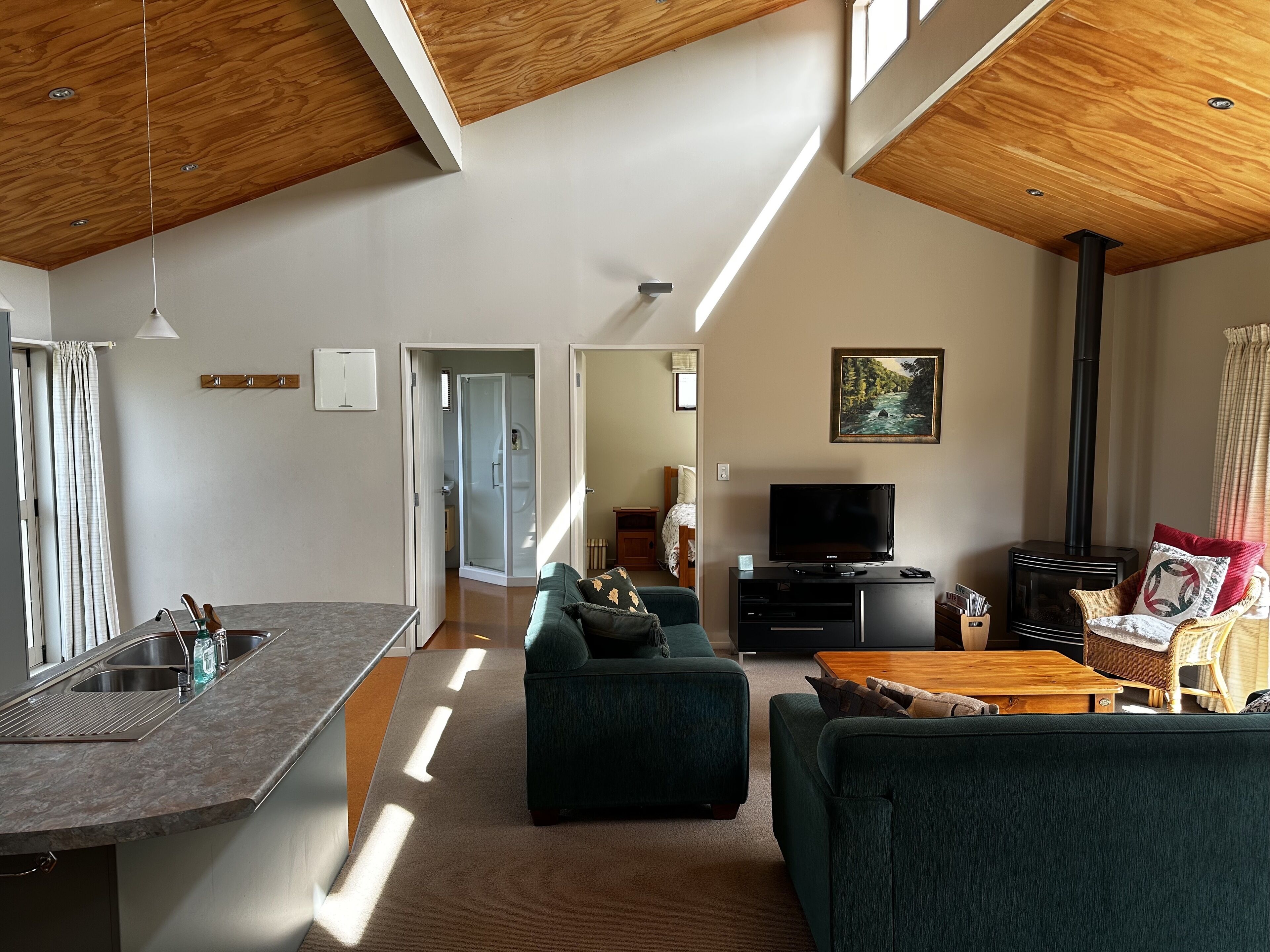 Una televisión, una chimenea, un reproductor de DVD