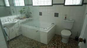 Shower, jetted bath, hair dryer, soap