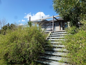 Property grounds - Lavandula cottage (Shepherds Flat)