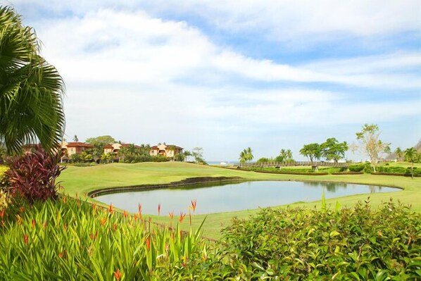A golf course with a pond, palm trees, and houses in the background.