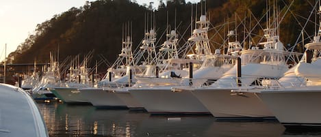 Marina