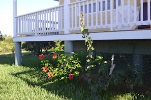 Terrein van de accommodatie