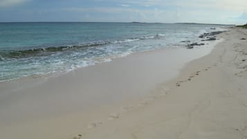 Vlak bij het strand