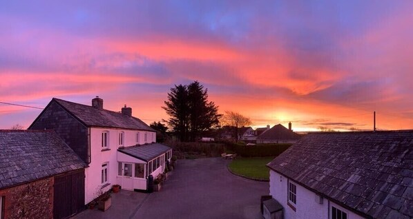 Una calle residencial con casas, cielo despejado y un atardecer.