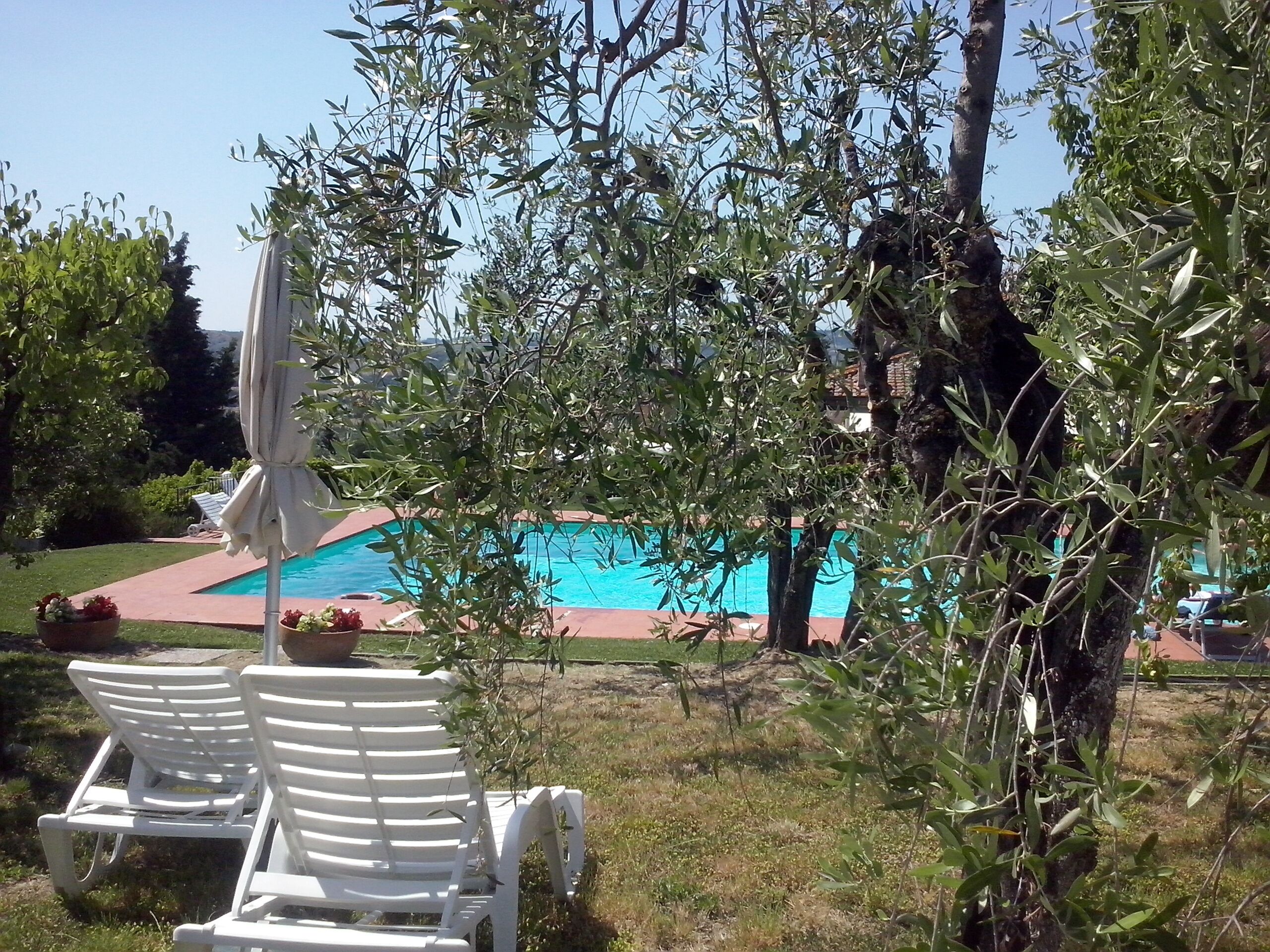 Ein Poolbereich mit zwei weißen Liegestühlen und einem Sonnenschirm, umgeben von Grünpflanzen und einem klaren, blauen Pool.
