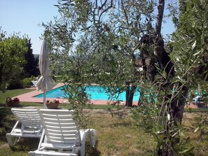 Zona de piscina con dos sillones blancos y una sombrilla, rodeada de follaje y una piscina azul cristalina.