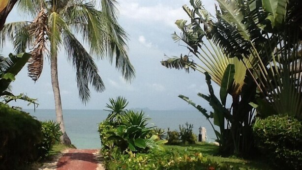 A pathway leading to a beach with palm trees and tropical plants. - Affordable beachside luxury in a beautiful intimate setting. (Ko Samui)