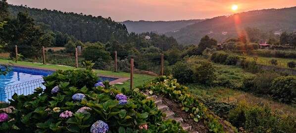 Property grounds - Quinta da Costeira- AL 1817 Full Rental (Sever do Vouga)