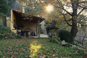 Property grounds - Quinta da Costeira- AL 1817 Full Rental (Sever do Vouga)