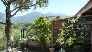A garden with a wooden fence, potted plants, and a tree. - Casa Régina - T3 N ° 1 / Ground garden SPACIOUS -  sumptuous sea view (Propriano)