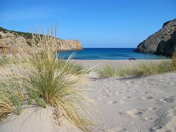 Plage à proximité