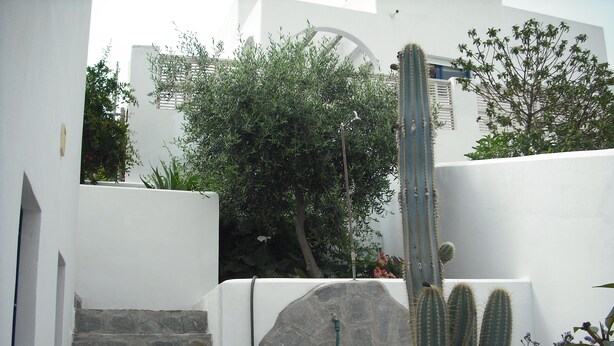 A white building with a stone staircase, a cactus, and a tree. - House and garden, quiet area, near the beach (San Jose)