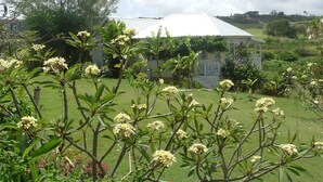 A house with a white roof and a lawn in the foreground.